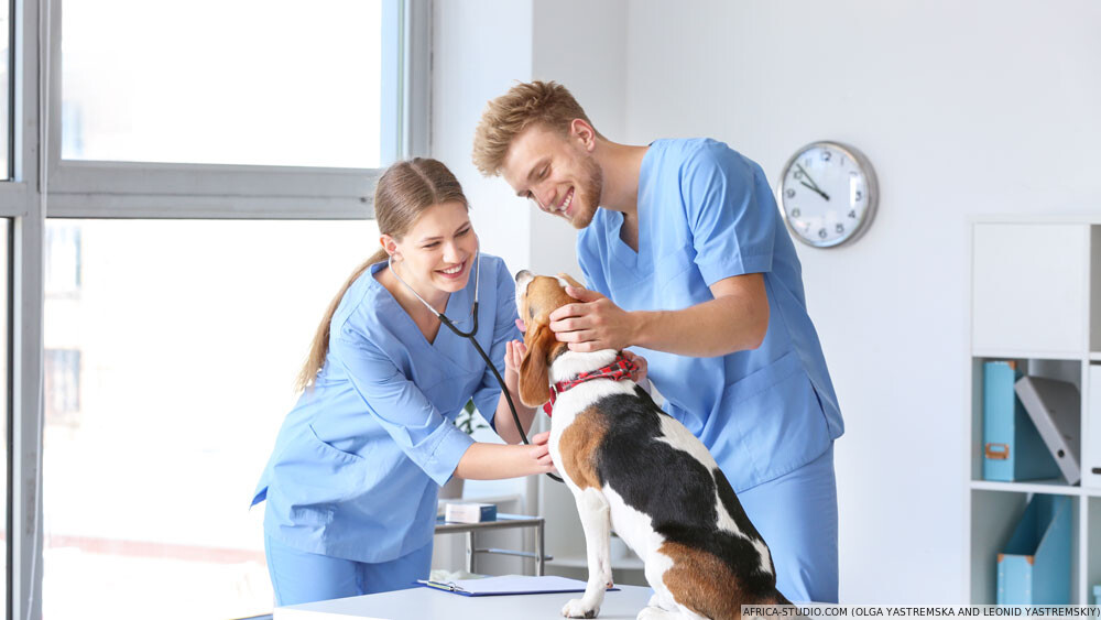 Expertise comptable profession libéral