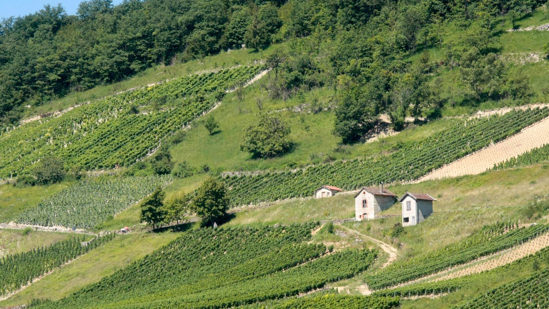 cabinet comptable Bourg-en-Bresse